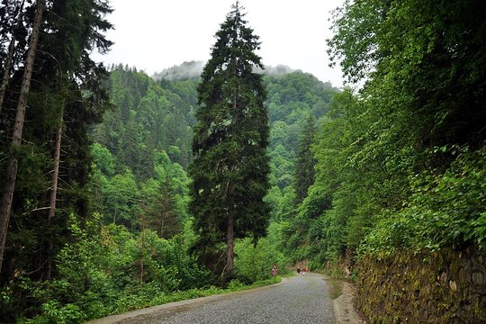 Tour image 12