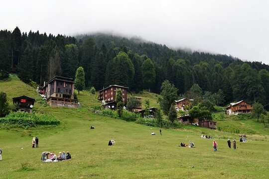 Tour image 7
