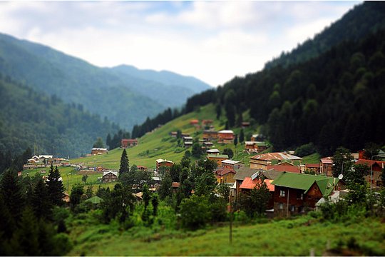Tour image 4